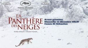 La panthère des neiges