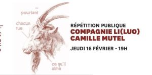compagnie li(luo) camille mutel