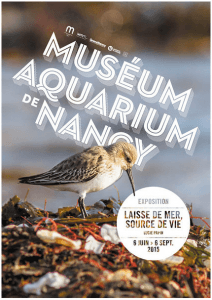Laisse de mer, Source de vie