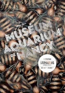Stridulus
