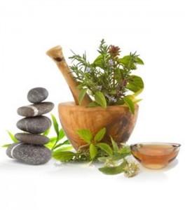 Cycle de découverte de naturopathie