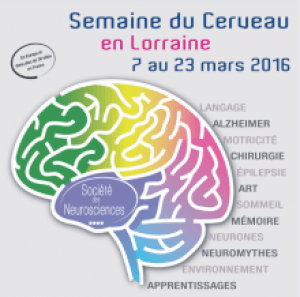 La Semaine du Cerveau en Lorraine