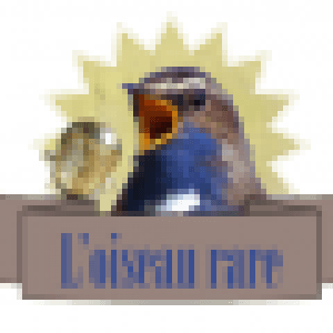 L'Oiseau rare
