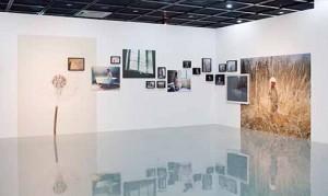 CONSTELLATIONS PHOTOGRAPHIQUES par Anne Immelé