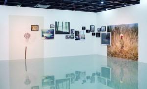 Constellations photographiques