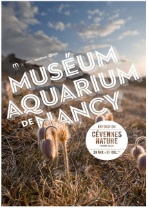 Cévennes nature