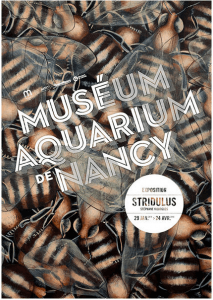 Stridulus