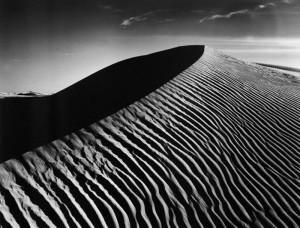 Le paysage