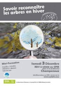 La reconnaissance des arbres en hiver