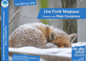 UNE FORÊT MAGIQUE - par Régis Cavignaux