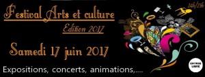 FEstival Arts et Culture 2017
