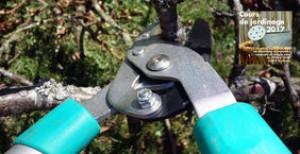 Apprenez à tailler