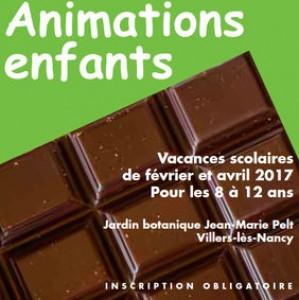 Cabosse et Cacao