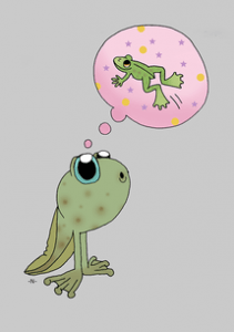 Animations : Abracadabra … Des animaux qui se transforment