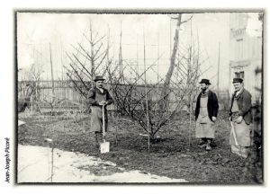 Jean Joseph PICORE, Grand Maître de l ’arboriculture lorraine