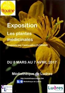 Les plantes médicinales à Ludres