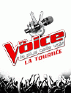 The Voice - La tournée