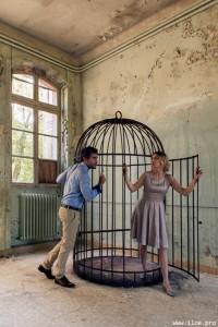 L’ORGUE ET L’OISEAU