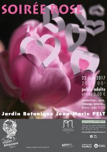 Affiche Soirée Rose(2).jpg