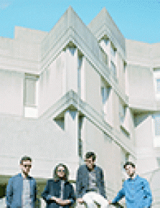 BB Brunes