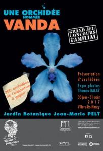 Une orchidée nommée Vanda