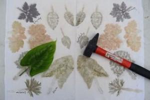 Les plantes à frapper