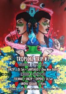 Tropical trip