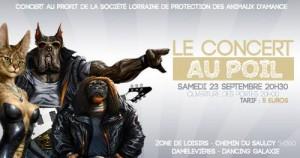 Concert au poil