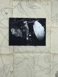 OUVERTURE D'ATELIER ÉLÉONORE FALSE