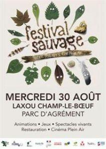 Festival sauvage