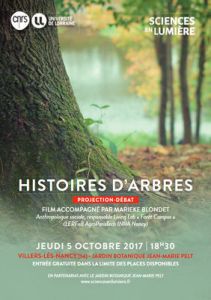Histoire d'arbres