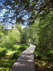 Atelier sur le Chemin du Bonheur