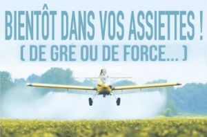 BIENTÔT DANS VOS ASSIETTES