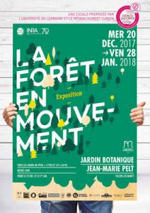 La forêt en mouvement