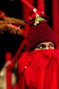 À PETITS PAS DANS LES BOIS