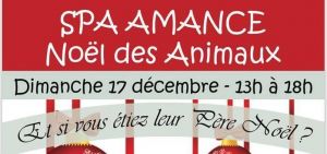 SPA Noel des animaux