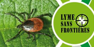 Lyme sans frontières