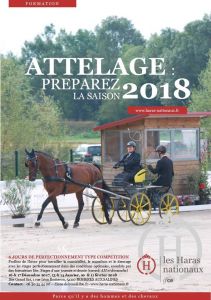 Perfectionnement en attelage : 3 dates pour préparer 2018