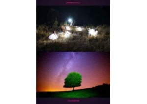  Exposition LUZ
