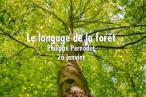 langage de la forêt