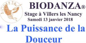 Stage de Biodanza