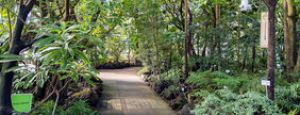 Visites guidées des serres tropicales