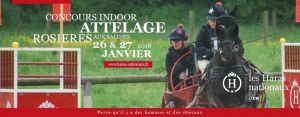 Concours Indoor Attelage