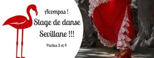 Stage de danse Sevillane