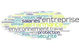 Sécurité et environnement