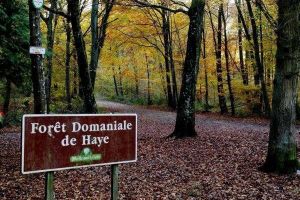 Assemblée Générale de l’ASP