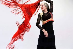 Stage de Flamenco