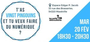 T'as vingt pingouins et tu veux faire du numérique?