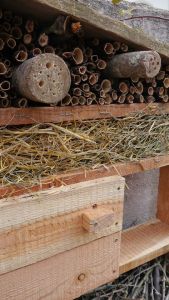 Fabriquer un hôtel à insectes