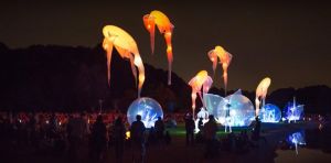 8e Nuit des lumières